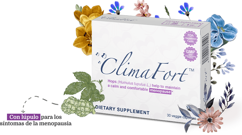 imagen caja climafort slider