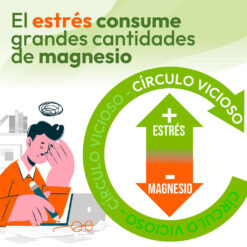 El círculo vicioso del estrés consume grandes cantidades de magnesio