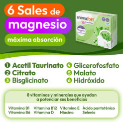 6 sales de magnesio para una máxima absorción