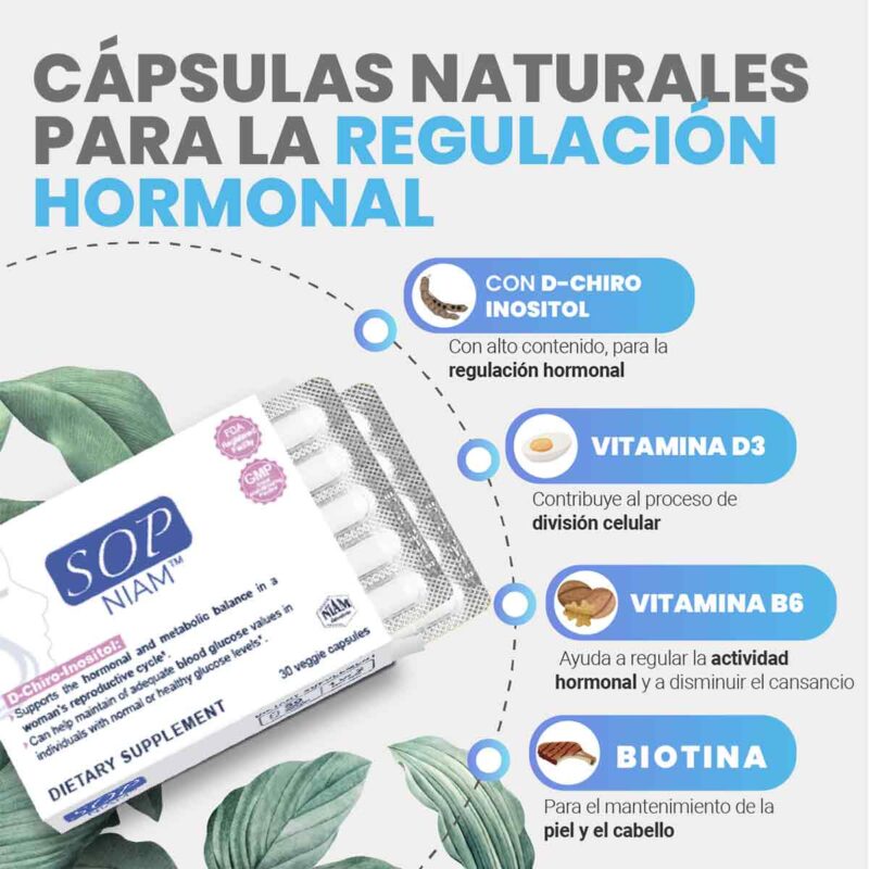 imagen con ingredientes SOP NIAM