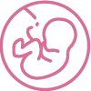 imagen icono bebé en utero