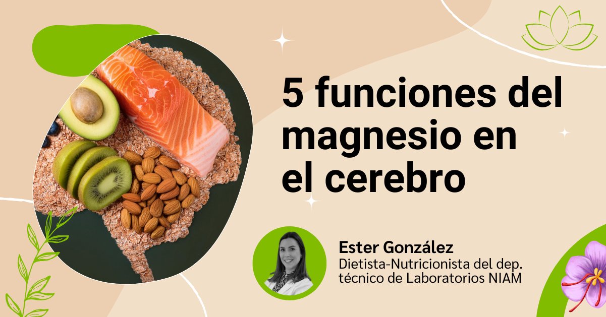 Cabecera del artículo sobre las funciones del magnesio en el cerebro