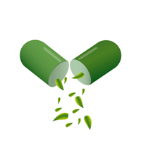 Capsula Verde - Laboratórios Niam
