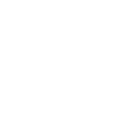 icon escudo defesas