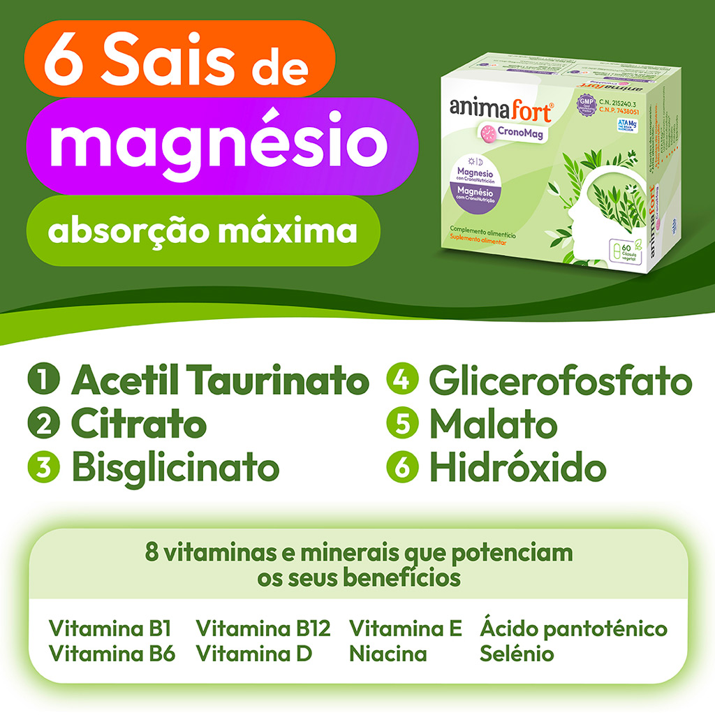 Suplemento alimentar com 6 sais de magnésio de máxima absorção