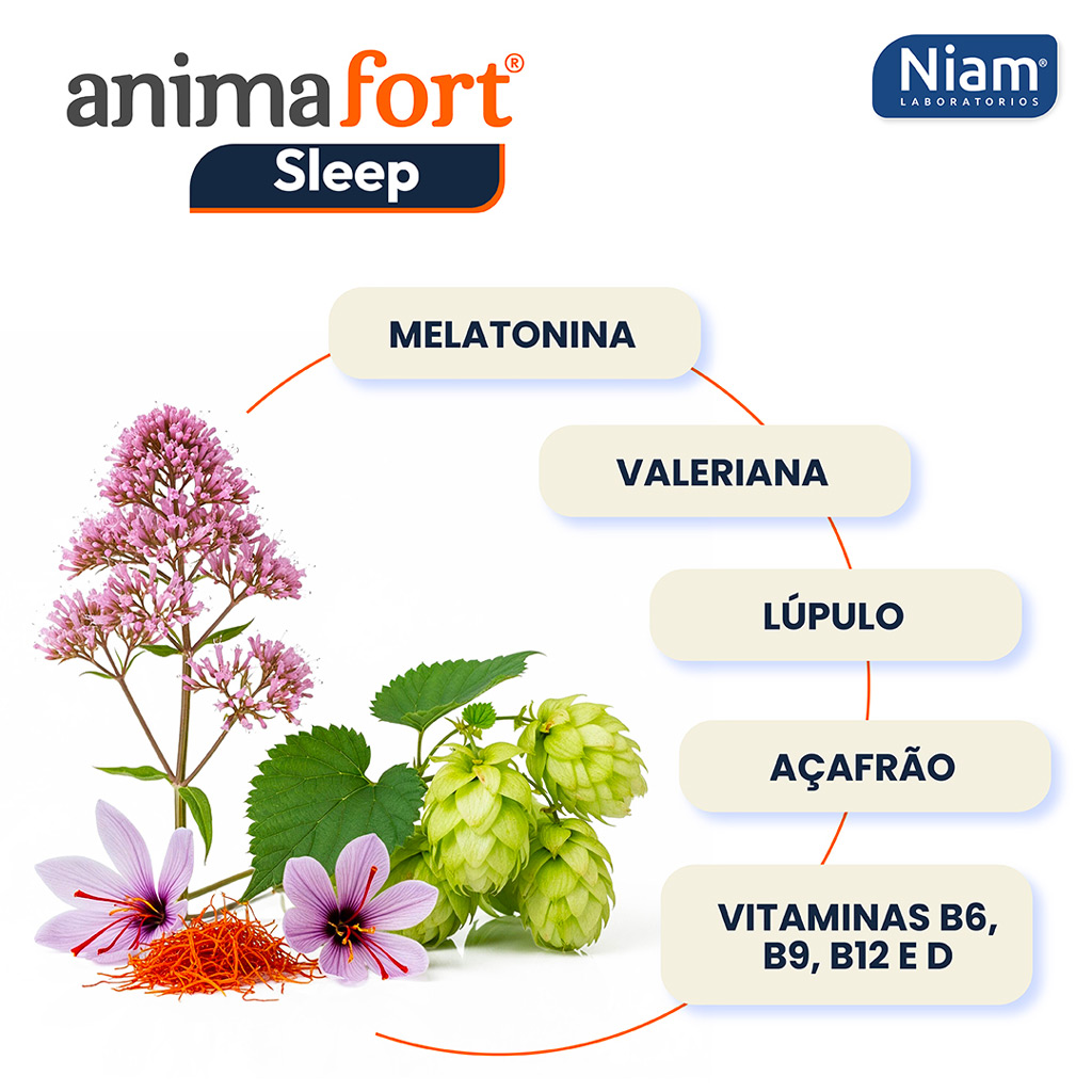 Ingredientes naturais para um bom descanso
