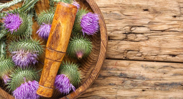 Propriedades do cardo mariano