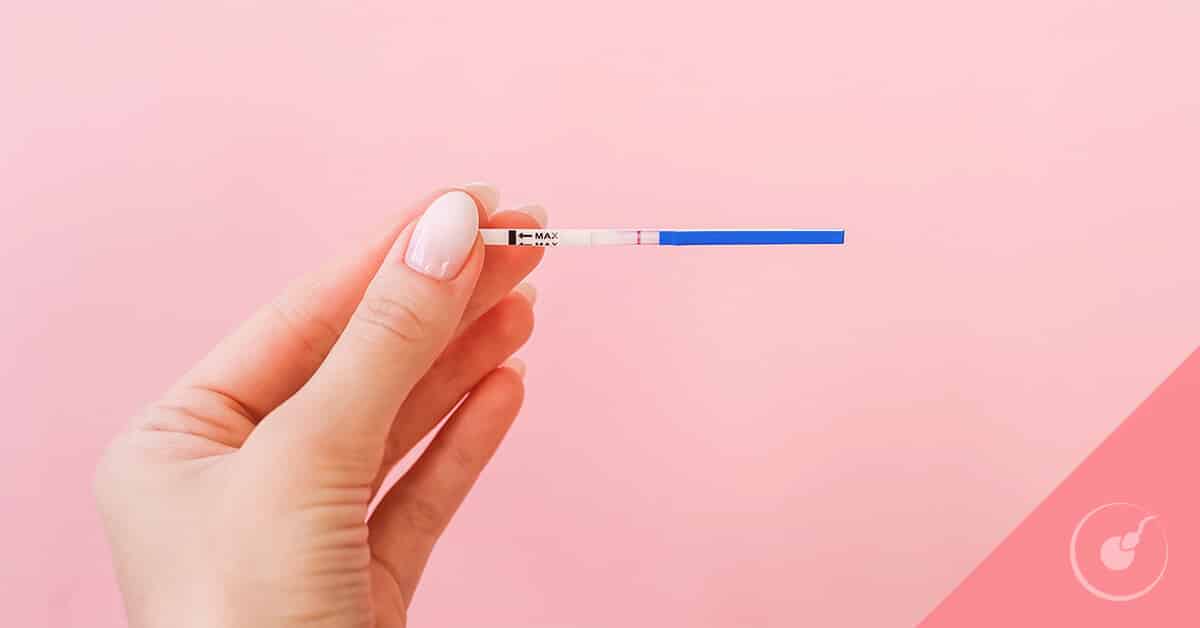 Contador Hola desempleo Test de ovulación para conseguir un embarazo