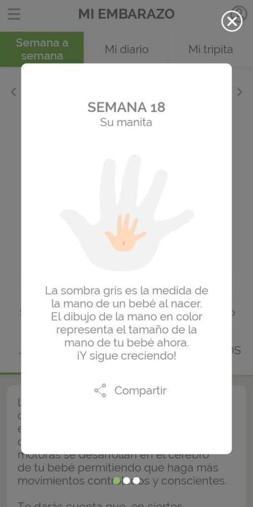 Tamaño de la mano en app para embarazadas Mi embarazo al día