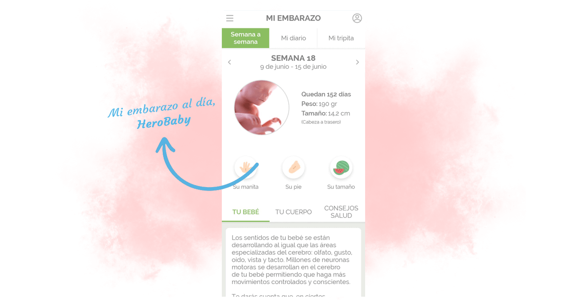 App para embarazadas Mi embarazo al día