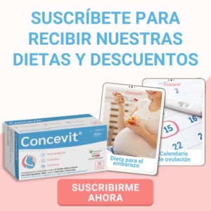 Banner Descargables Concevit