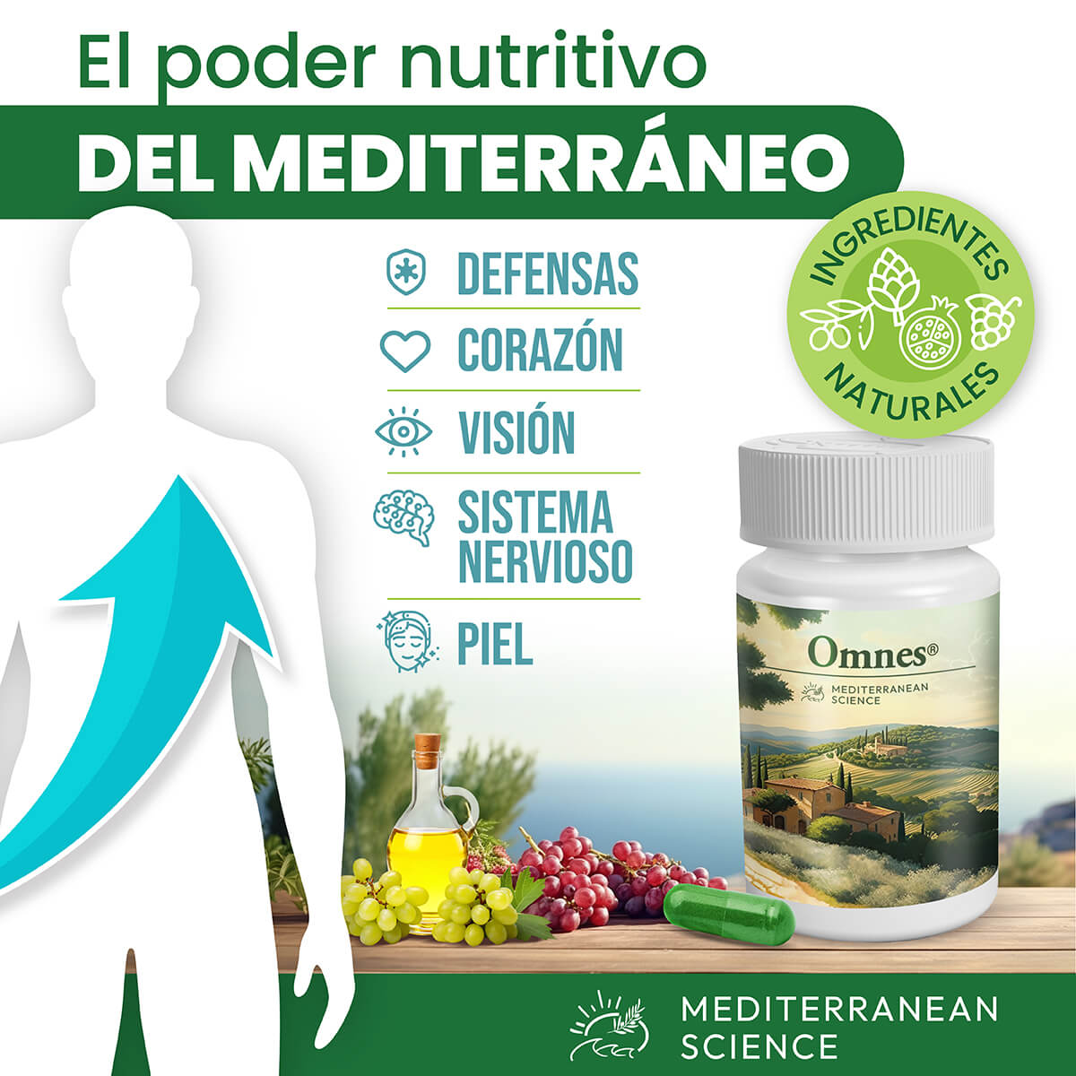 Omnes® el poder nutritivo del Mediterráneo