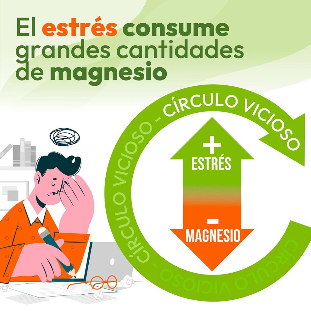 Sal del círculo vicioso del estrés con Animafort® Cronomag