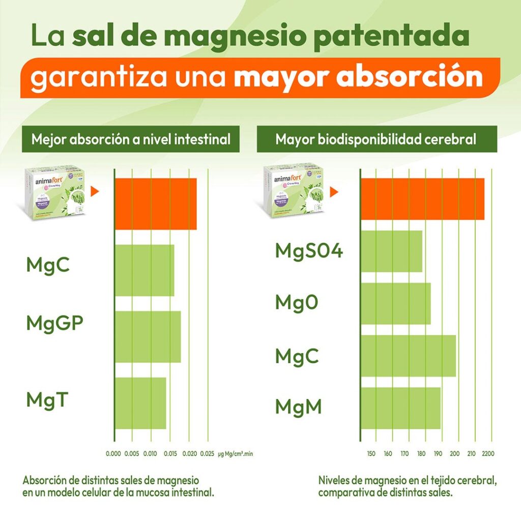 Animafort® Cronomag para una mayor absorción del magnesio