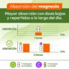 Tabla explicativa de cómo Animafort® Cronomag mejora la absorción del magnesio al tomar 2 cápsulas durante el día