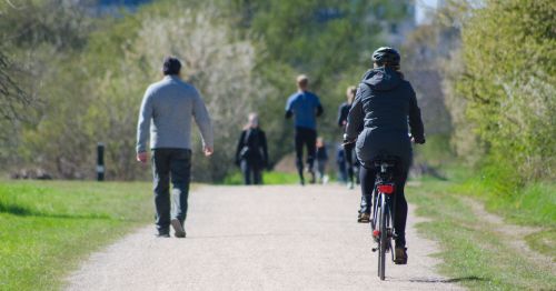 Varias personas de espalda paseando y haciendo deporte en un parque