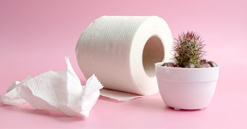 Rollo de papel higiénico y cactus sobre fondo rosa