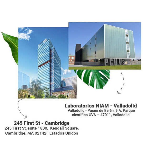 Oficinas Laboratorios Niam, Valladolid y Massachusetts