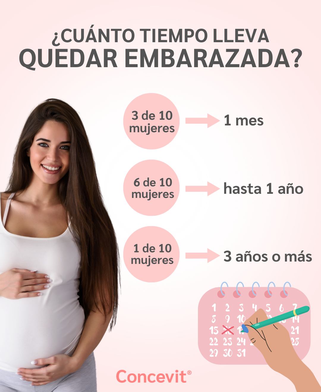 Infografía explicando cuánto es el tiempo promedio en quedar embarazada