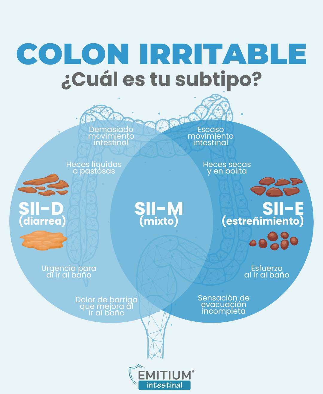 Infografía con los subtipos de colon irritable