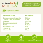 AnimaFort MULTI - Composición