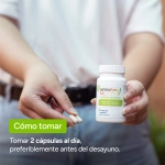 AnimaFort MULTI - Cómo tomar