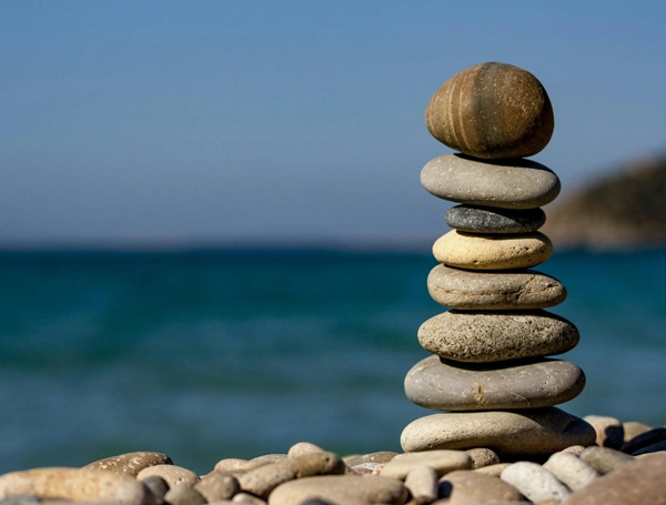 Niam - Apoyo a un ciclo más estable