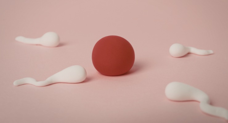 Representación de un óvulo y espermatozoides