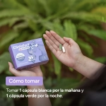 ClimaFort CronoMag - como tomar