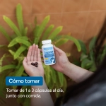 ClimaFort Omega 3 - como tomar